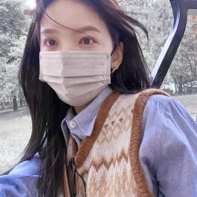 一条叫王子的狗
